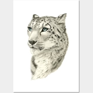 Snow Leopard Posters and Art